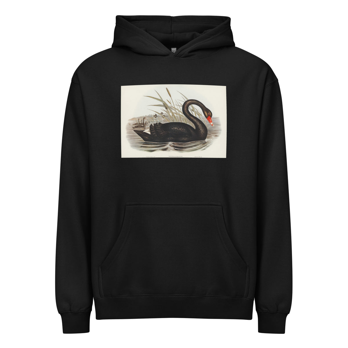 Black Hoodie Black Swan Cygnus Atratus Illustrated - Elizabeth Gould 1804 Signature