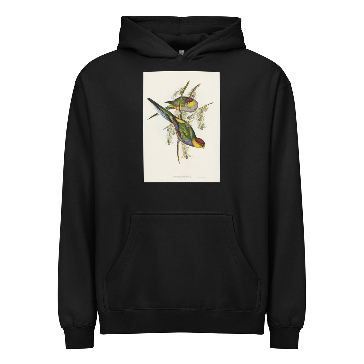 Black Hoodie Red-Capped Parakeet Platycercus Pileatus Illustrated - Elizabeth Gould 1804 Signature