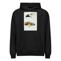 Black Hoodie 1 White-Bellied Sea Eagle Haliaeetus Leucogaster 2 Whistling Kite Haliastur Sphenurus Illustrated Signature