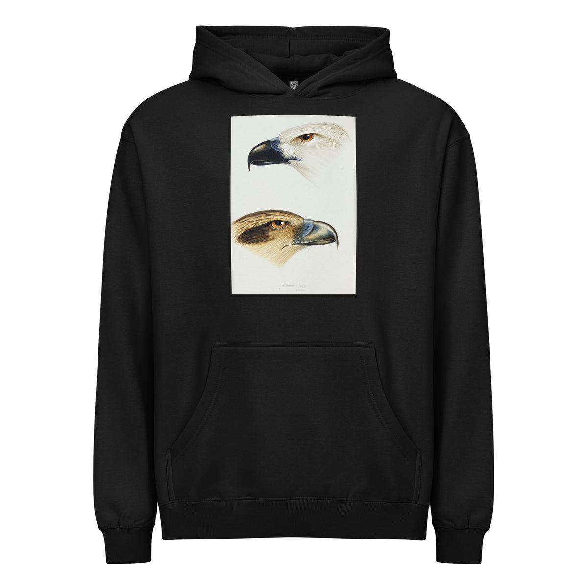 Black Hoodie 1 White-Bellied Sea Eagle Haliaeetus Leucogaster 2 Whistling Kite Haliastur Sphenurus Illustrated Signature
