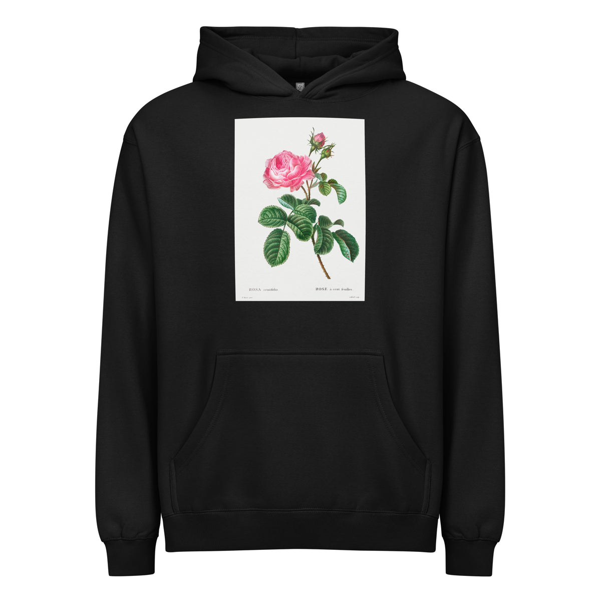Black Hoodie Cabbage Rose Rosa Centifolia Signature