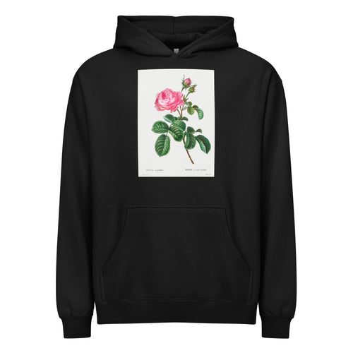 Black Hoodie Cabbage Rose Rosa Centifolia Signature