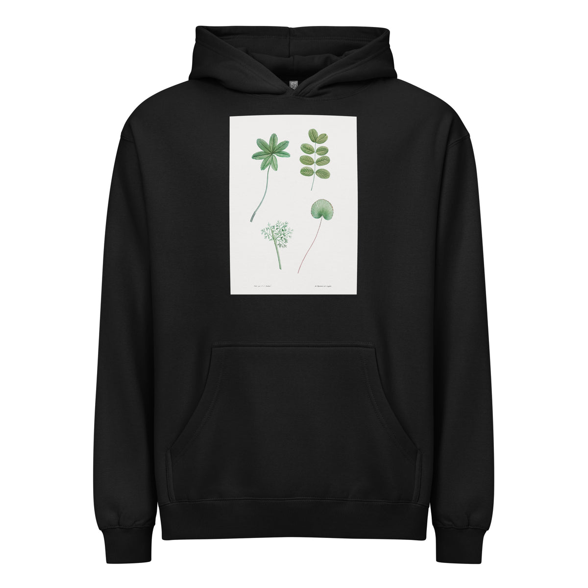 Black Hoodie Tree Leaf Set - Pierre-Joseph Redoute 1759 Signature