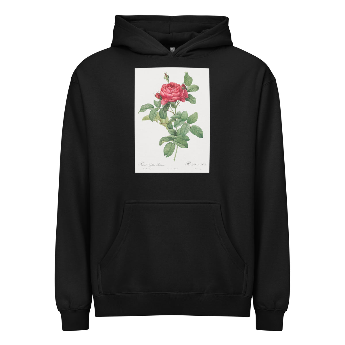 Black Hoodie Rosa Gallica Pontiana Also Known As Bridge Rose Signature