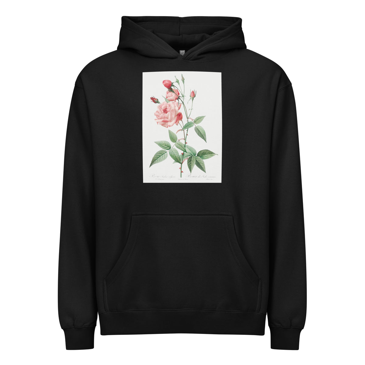 Black Hoodie Old Blush China Also Known As Common Rose Of India Rosa Indica Vulgaris Signature
