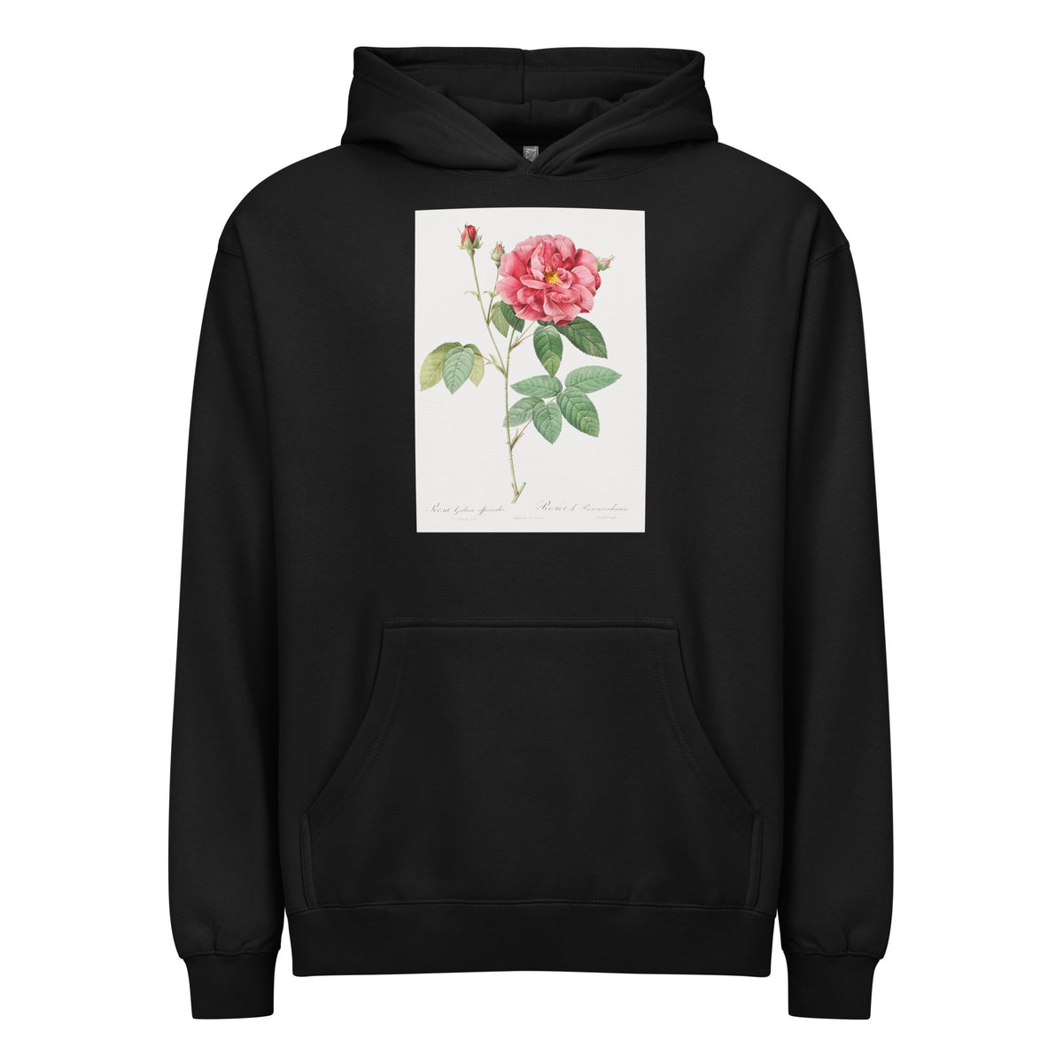 Black Hoodie French Rose Also Known As Ordinary Provins Rosebush Rosa Galluca Offuenalis Signature