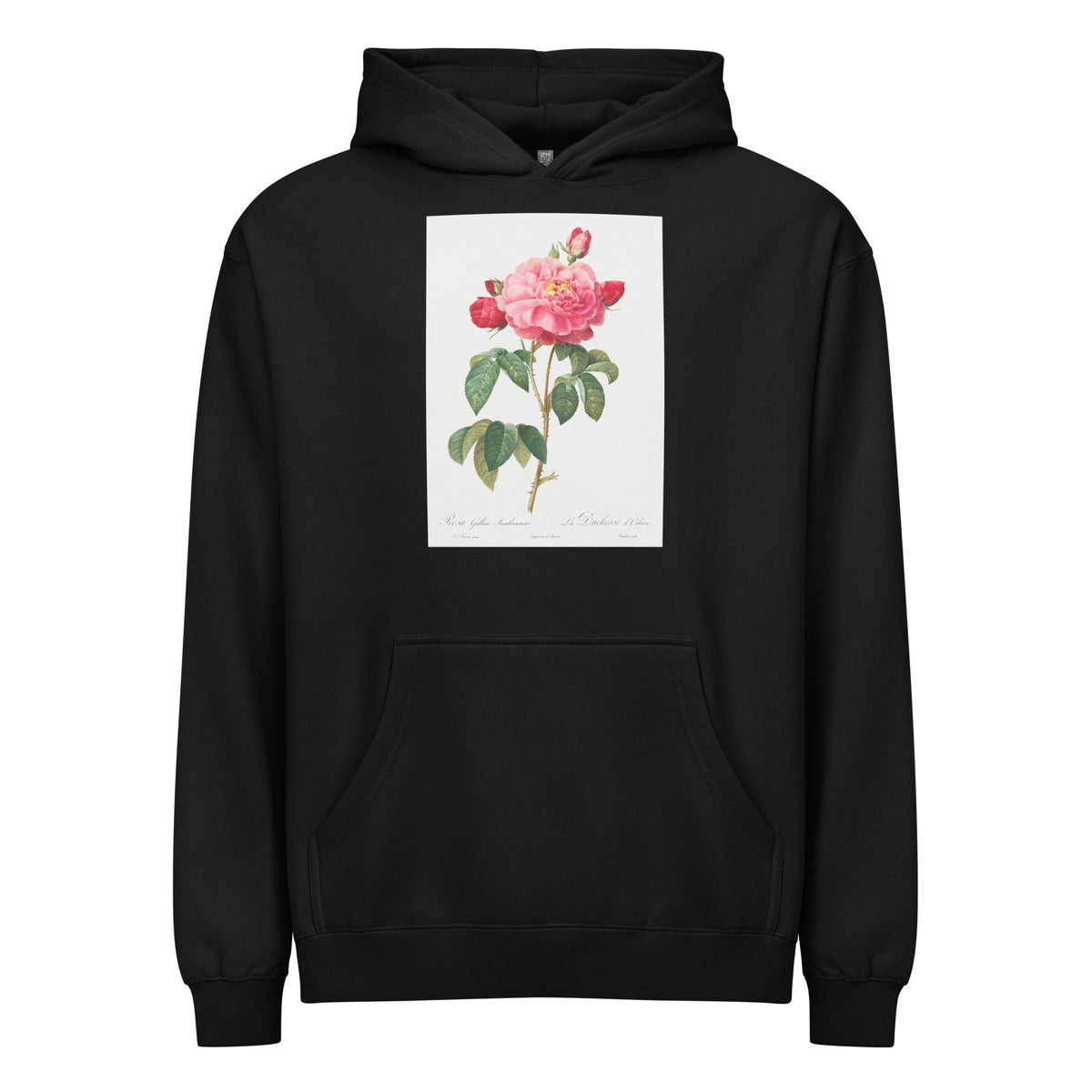Black Hoodie Gallic Rose Also Known As The Duchess Of Orleans Rosa Gallica Aurelianensis Signature