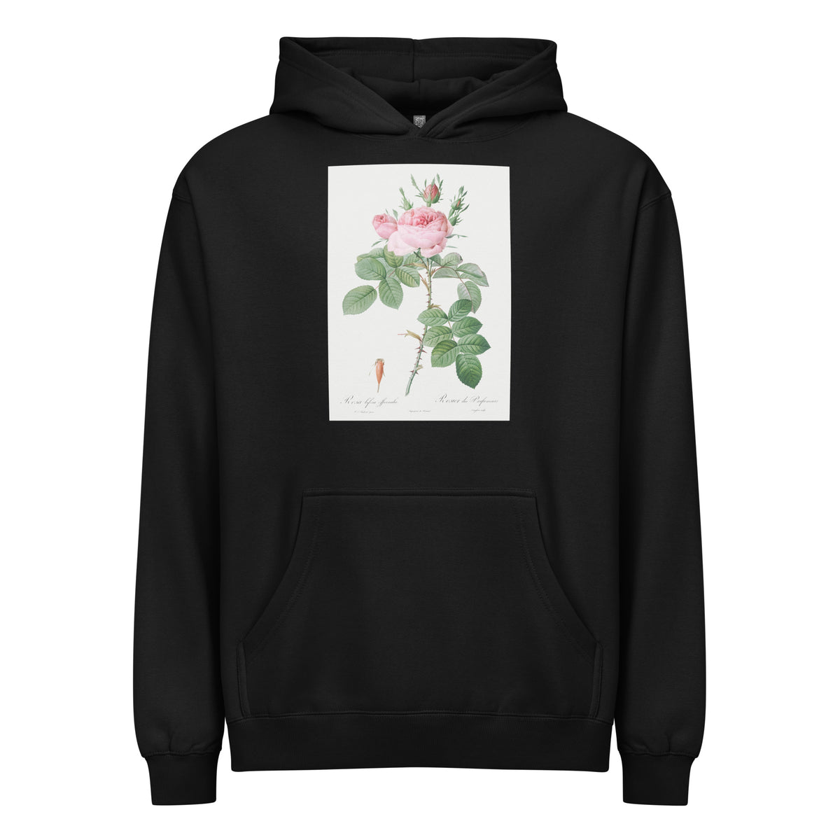 Black Hoodie Rosa Bifera Officinalis Also Known As Rose Of Perfume Signature