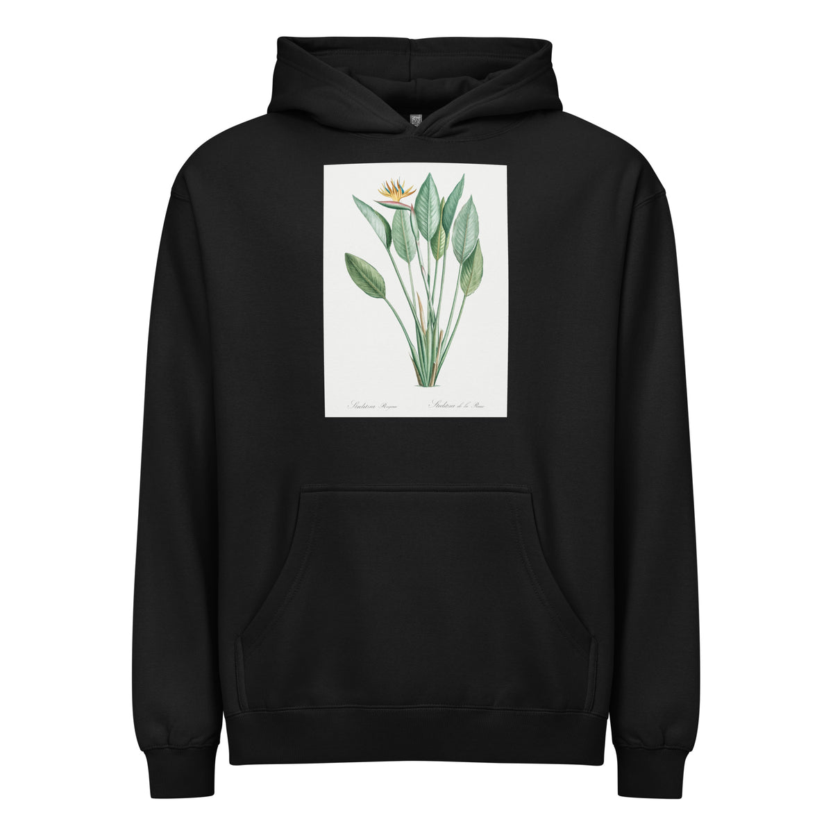 Black Hoodie Bird Of Paradise Illustration II Signature