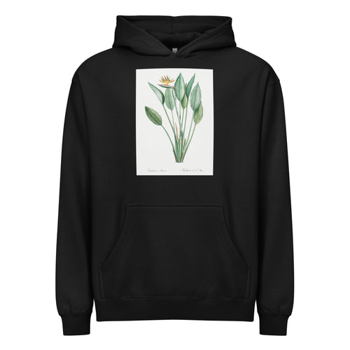 Black Hoodie Bird Of Paradise Illustration II Signature
