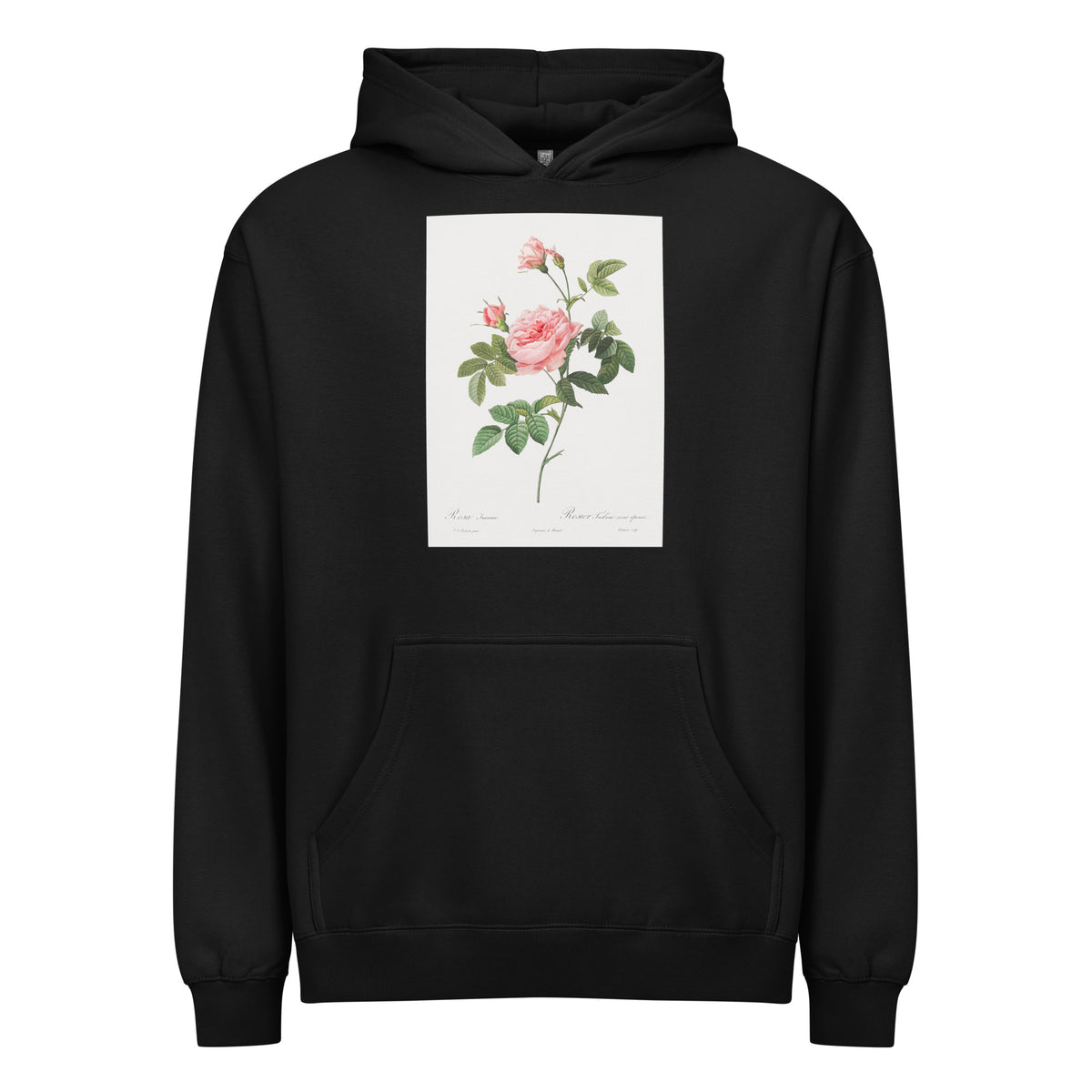 Black Hoodie Boursault Rose Also Known As Rose Turbine Without Thorns Rosa Inermis Signature
