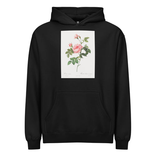 Black Hoodie Boursault Rose Also Known As Rose Turbine Without Thorns Rosa Inermis Signature
