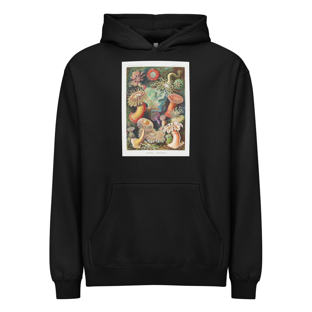 Black Hoodie Actiniae Seeanemonen Signature