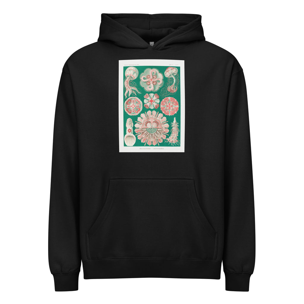 Black Hoodie Discomedusae Schweibenquallen Signature