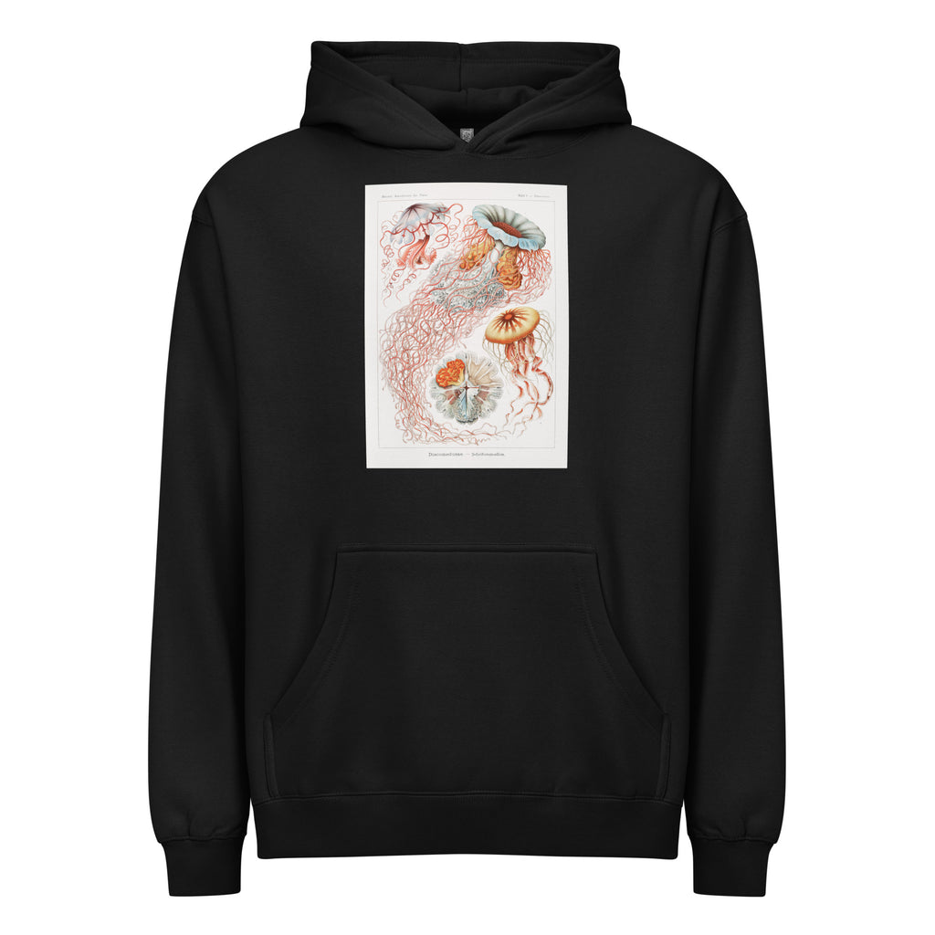 Black Hoodie Discomedusae Scheibenquallen Signature