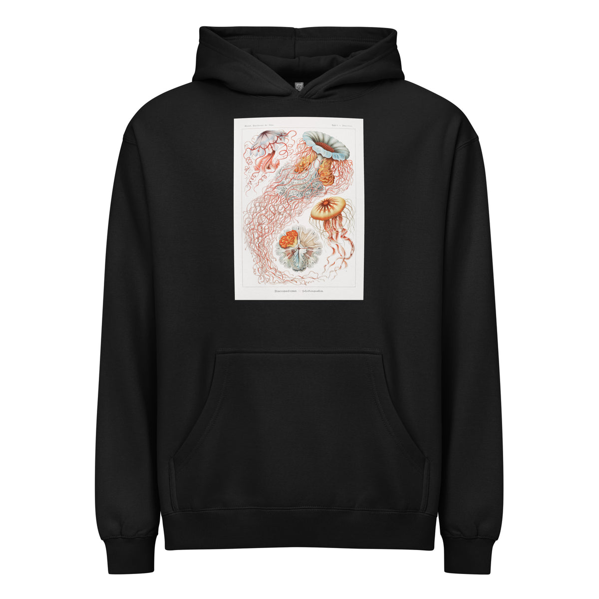 Black Hoodie Discomedusae Scheibenquallen Signature