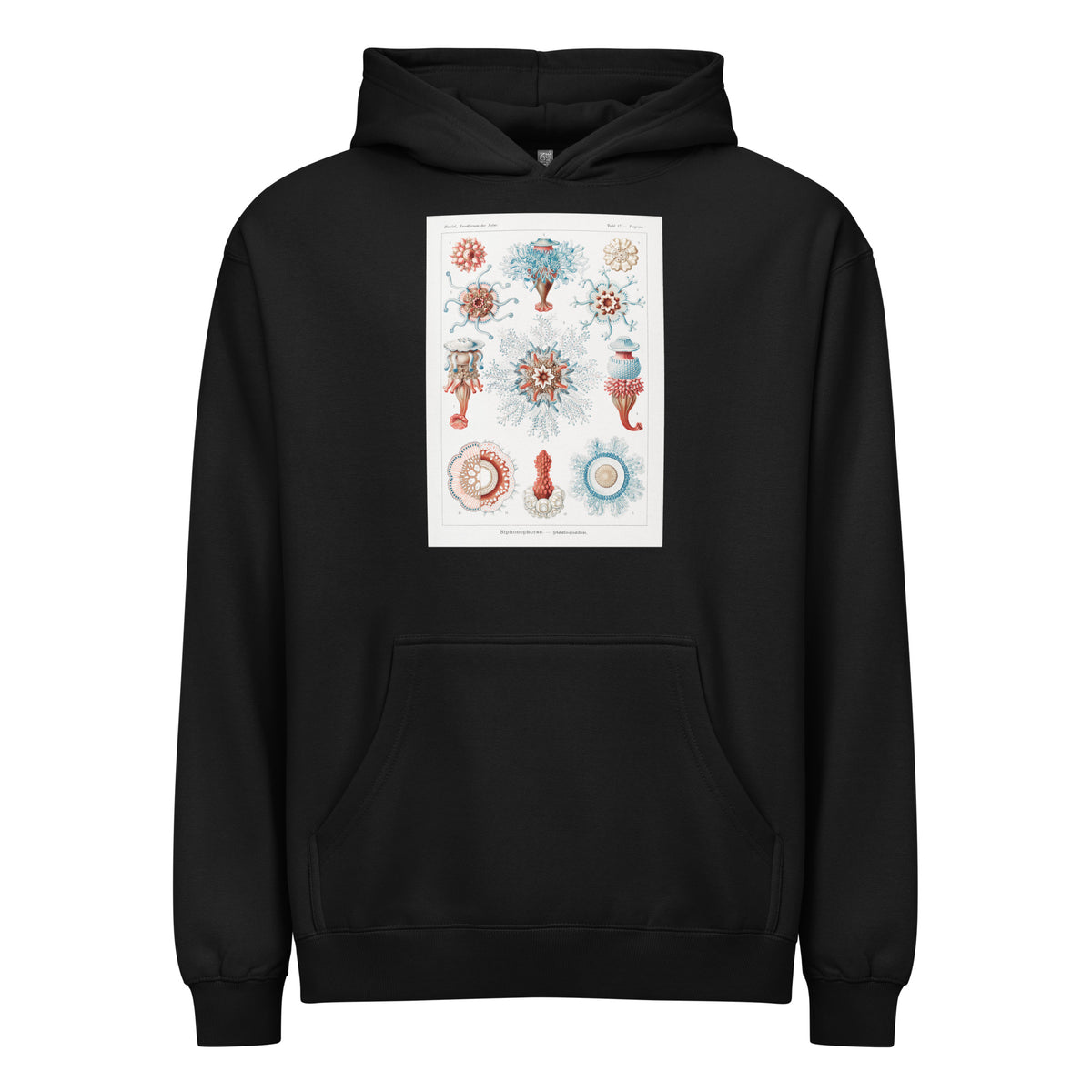 Black Hoodie Siphonophorae Staatsquallen Signature