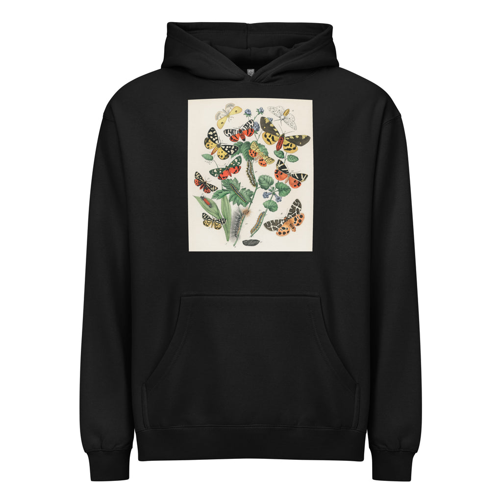 Black Hoodie Illustrations - William Forsell Kirby 1882 Signature