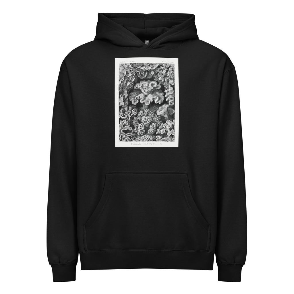 Black Hoodie Hexacoralla Sechsstrahlige Sternkorallen Signature