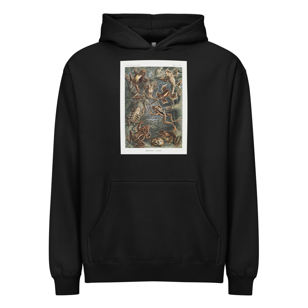 Black Hoodie Batrachia Frosche Signature