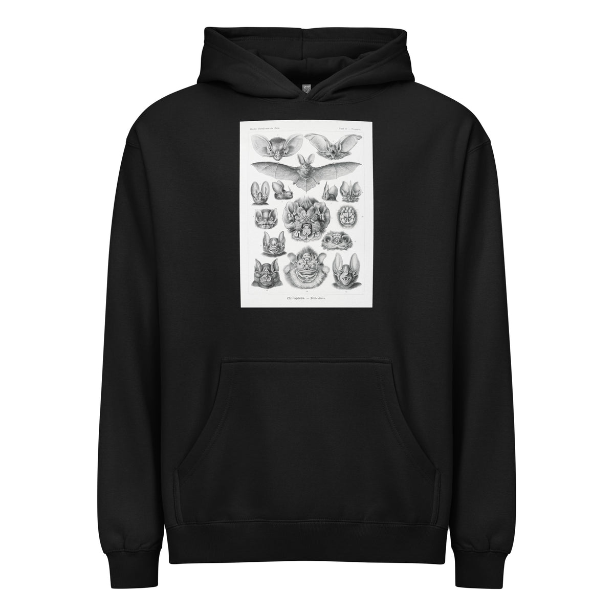 Black Hoodie Chiroptera Fledertiere Signature