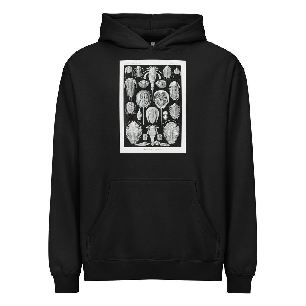 Black Hoodie Aspidonia Schildtiere Signature