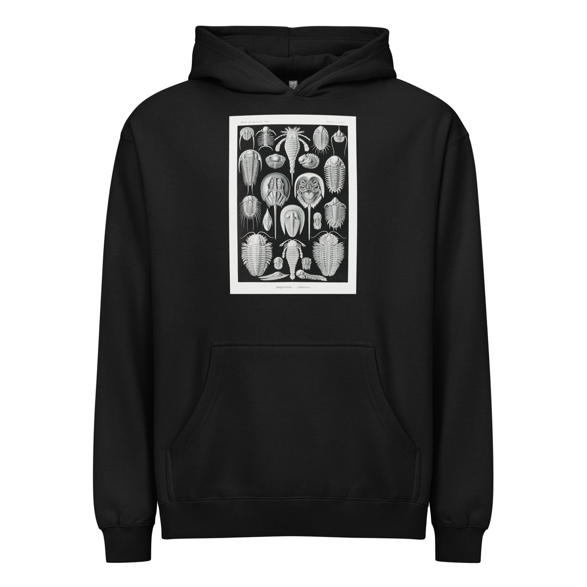 Black Hoodie Aspidonia Schildtiere Signature