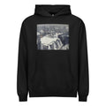 Black Hoodie Rooftops In The Snow Signature