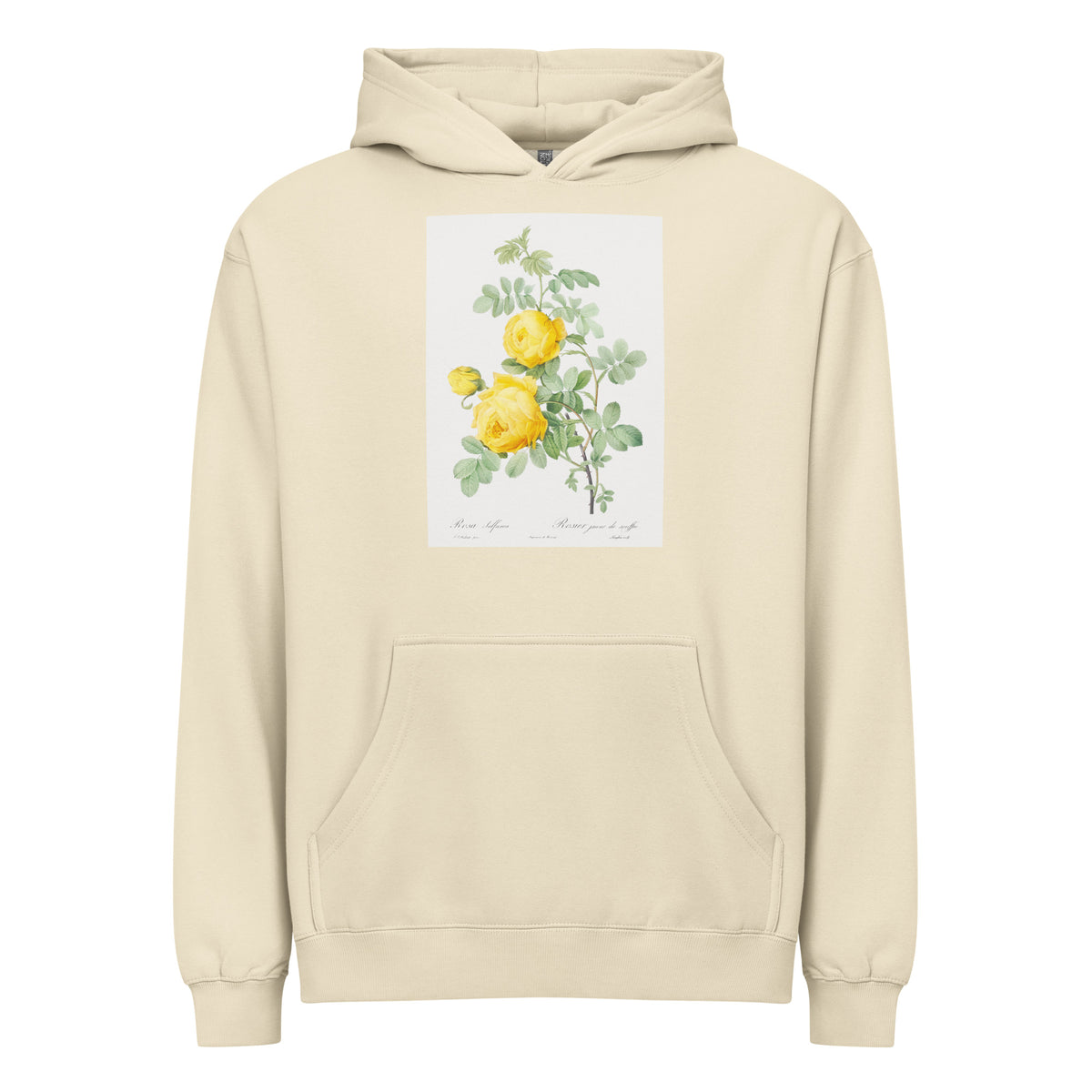 Hoodie Rosa Hemisphaerica Also Known As Yellow Rose Of Sulfur Rosa Sulfurea Signature