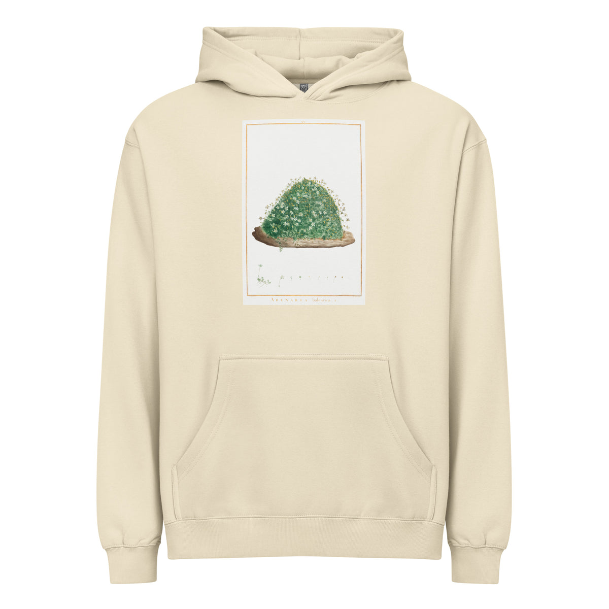 Hoodie Arenaria Balearica Image - Pierre-Joseph Redoute And Charles Louis L Heritier 1784 Signature