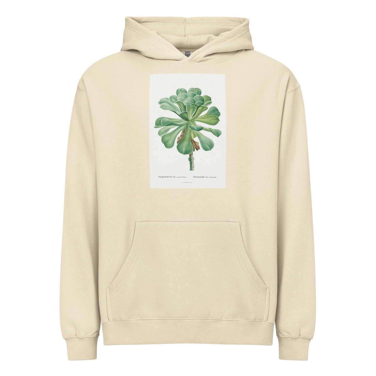 Hoodie Sempervivum Canariense Image Signature