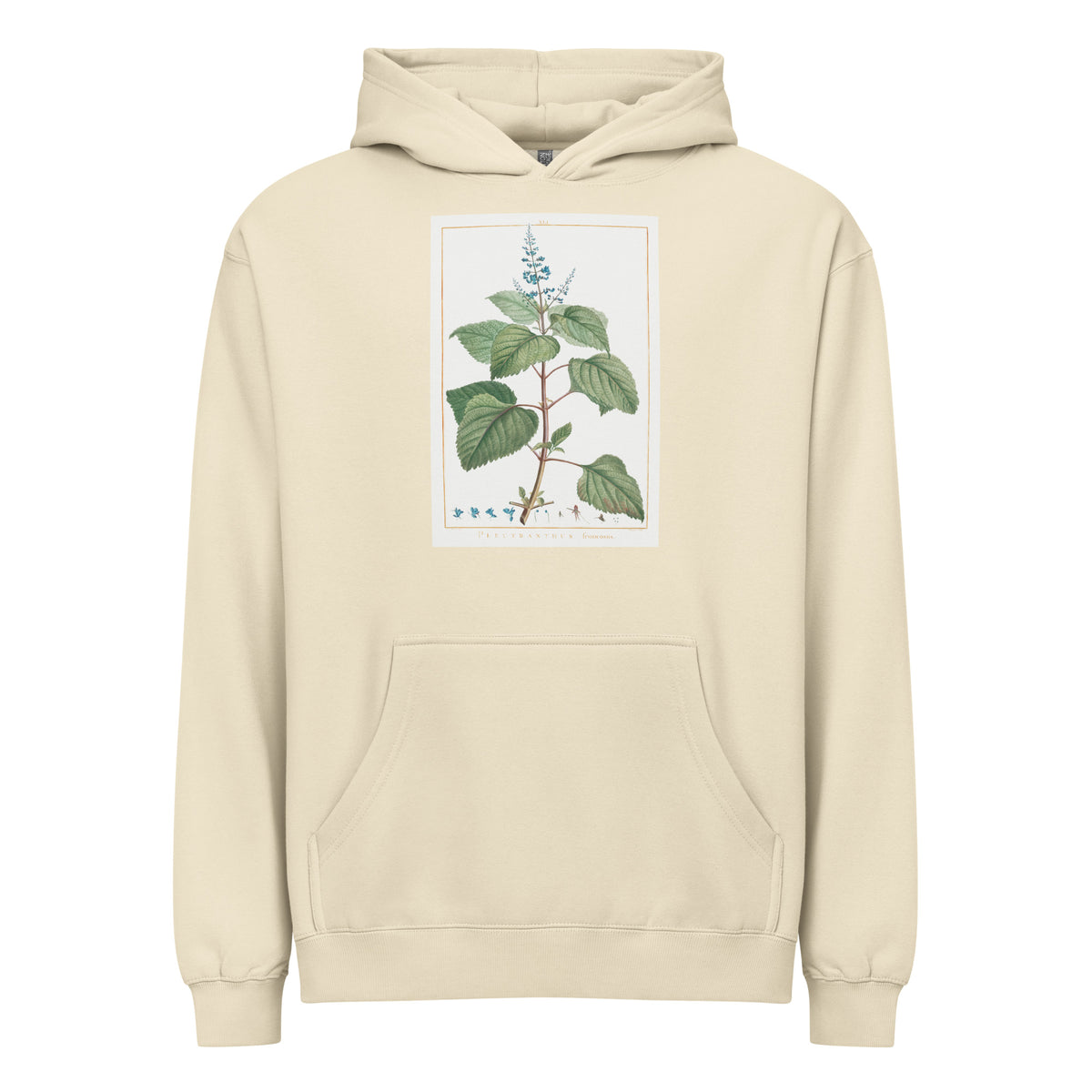 Hoodie Plectranthus Fruticosus Image - Pierre-Joseph Redoute And Charles Louis 1784 Signature
