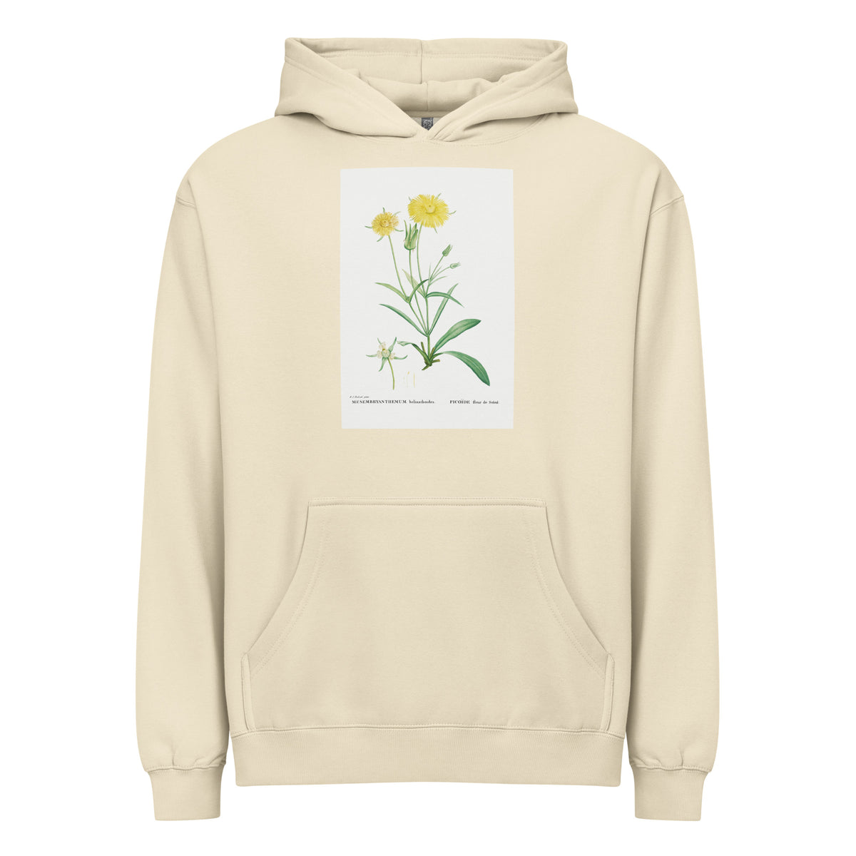 Hoodie Mesembryanthemum Helianthoides Spatula Leaved Fig Marigold - Pierre-Joseph 1799 Signature