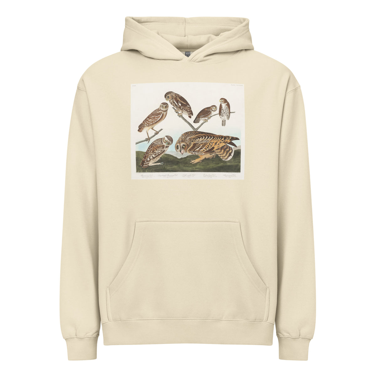 Hoodie Burrowing Owl Large-Headed Burrowing Owl Little Night Owl Columbian Owl And Short-Cared Owl - John James Audubon 1827 Signature