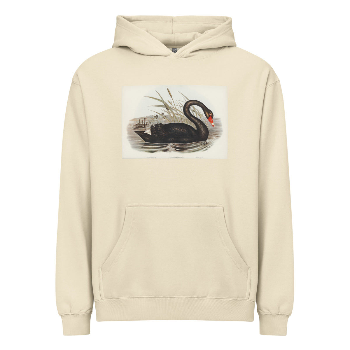 Hoodie Black Swan Cygnus Atratus Illustrated - Elizabeth Gould 1804 Signature