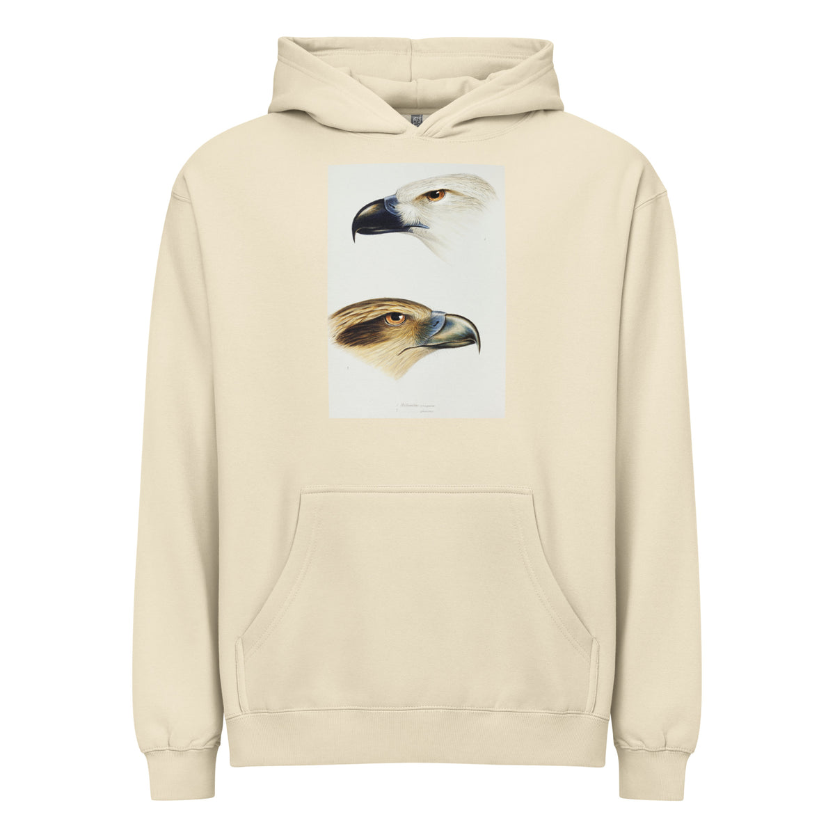 Hoodie 1 White-Bellied Sea Eagle Haliaeetus Leucogaster 2 Whistling Kite Haliastur Sphenurus Illustrated Signature