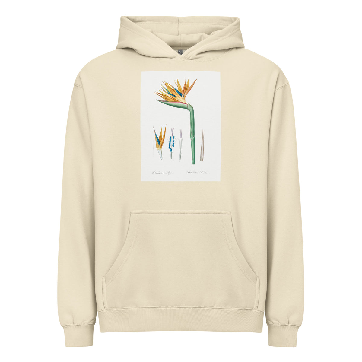 Hoodie Bird Of Paradise Illustration Signature