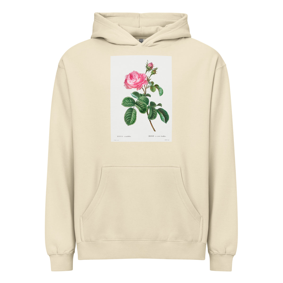 Hoodie Cabbage Rose Rosa Centifolia Signature