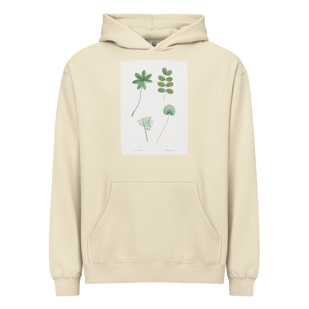Hoodie Tree Leaf Set - Pierre-Joseph Redoute 1759 Signature