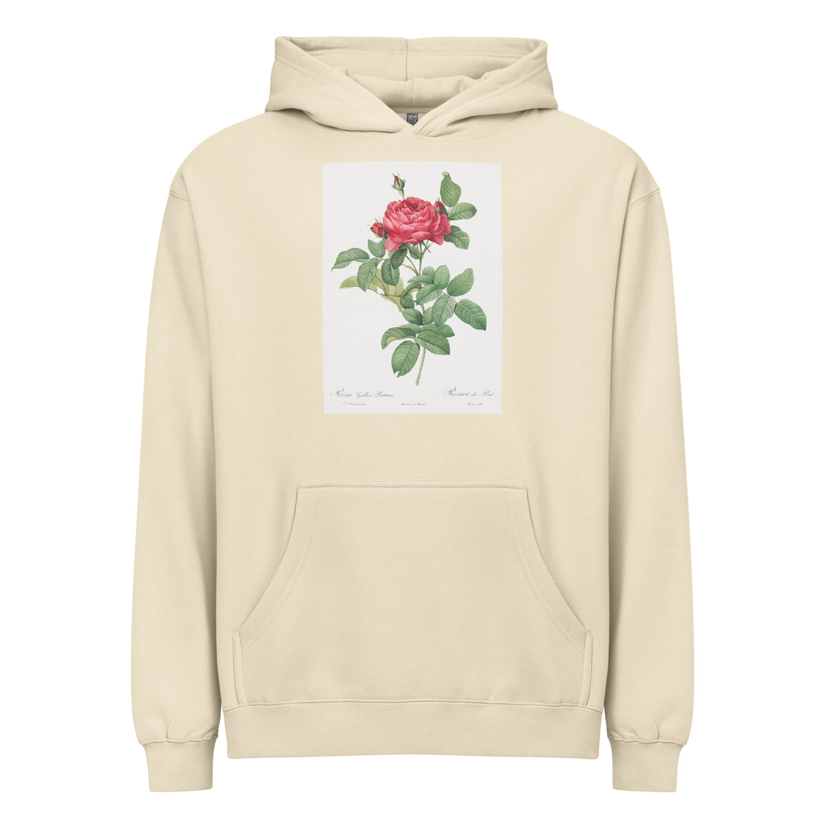 Hoodie Rosa Gallica Pontiana Also Known As Bridge Rose Signature