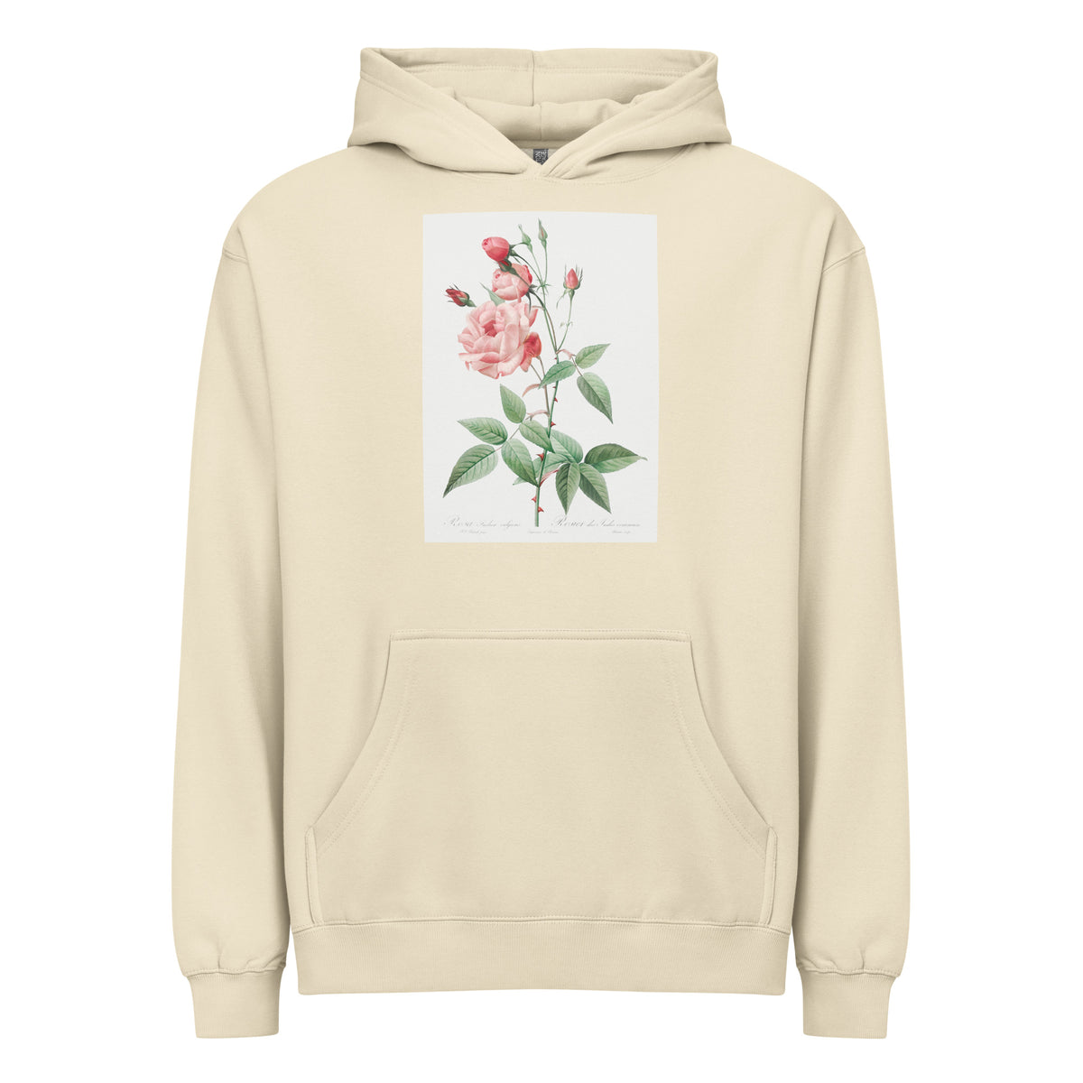 Hoodie Old Blush China Also Known As Common Rose Of India Rosa Indica Vulgaris Signature