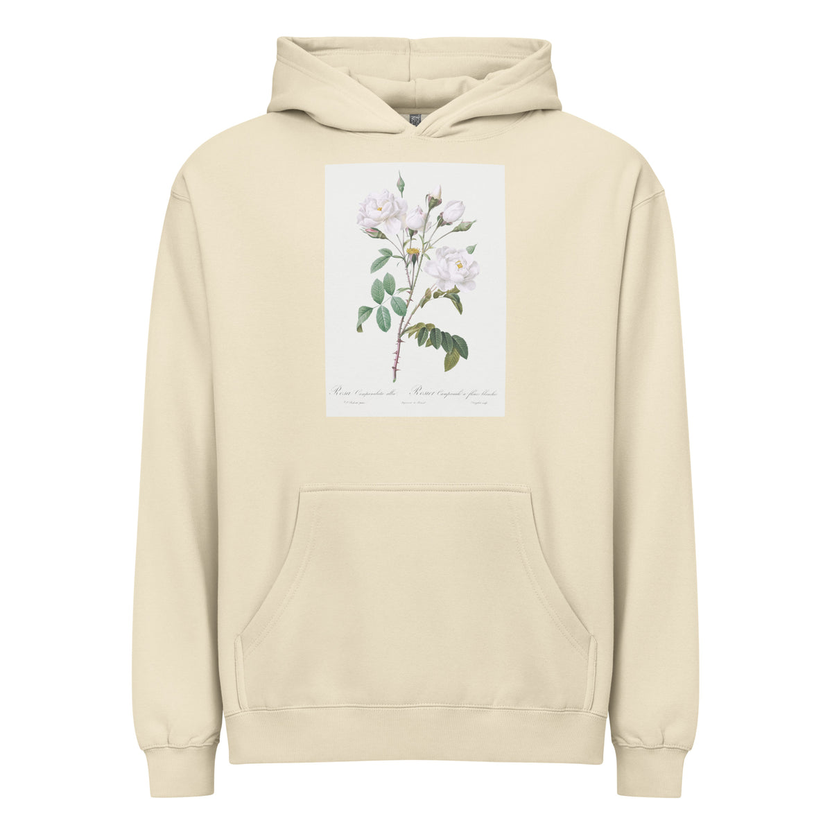 Hoodie Rosa Campanulata Alba Also Known As Pink Bellflowers To White Flowers Signature
