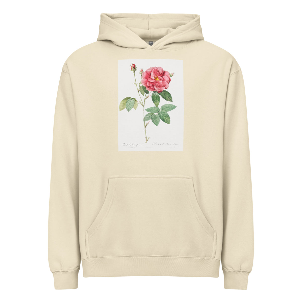 Hoodie French Rose Also Known As Ordinary Provins Rosebush Rosa Galluca Offuenalis Signature