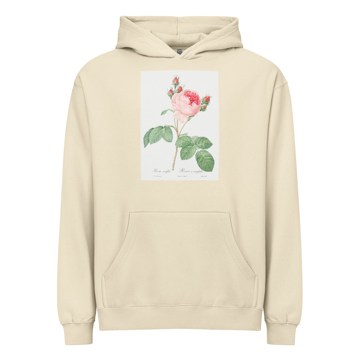 Hoodie Cabbage Rose Also Known As One Hundred-Leaved Rose Rosa Centifolia Signature