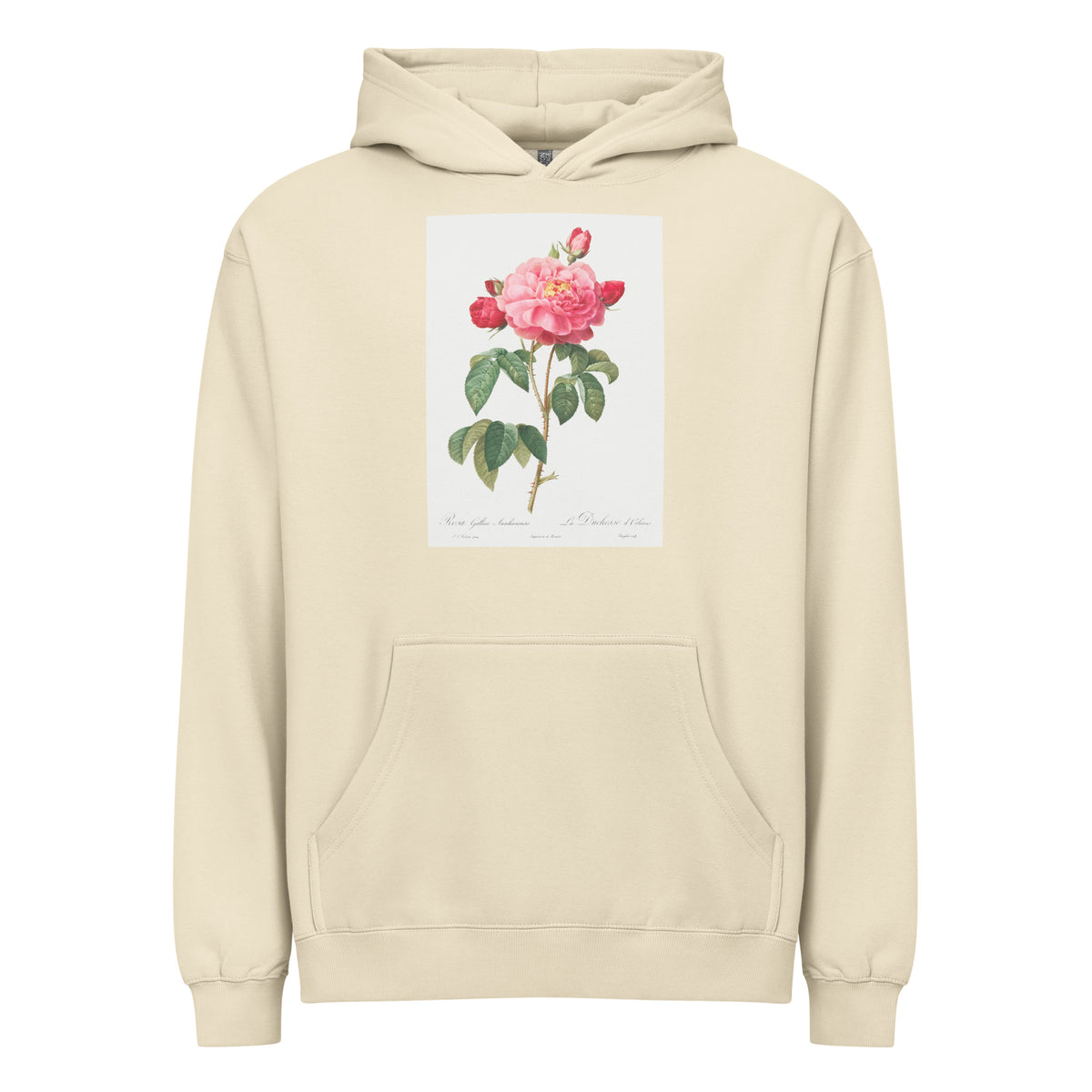 Hoodie Gallic Rose Also Known As The Duchess Of Orleans Rosa Gallica Aurelianensis Signature