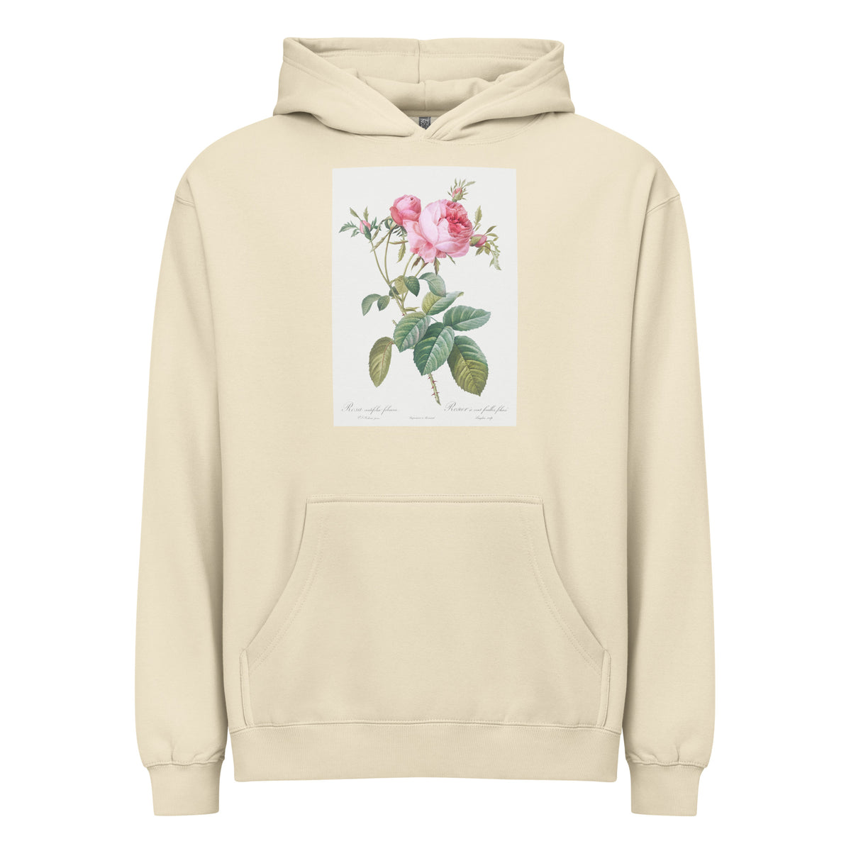 Hoodie Rose De Mai Rosa Centifolia Foliacea Signature
