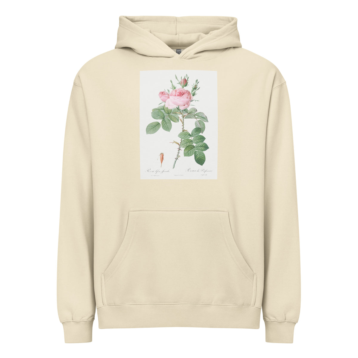 Hoodie Rosa Bifera Officinalis Also Known As Rose Of Perfume Signature