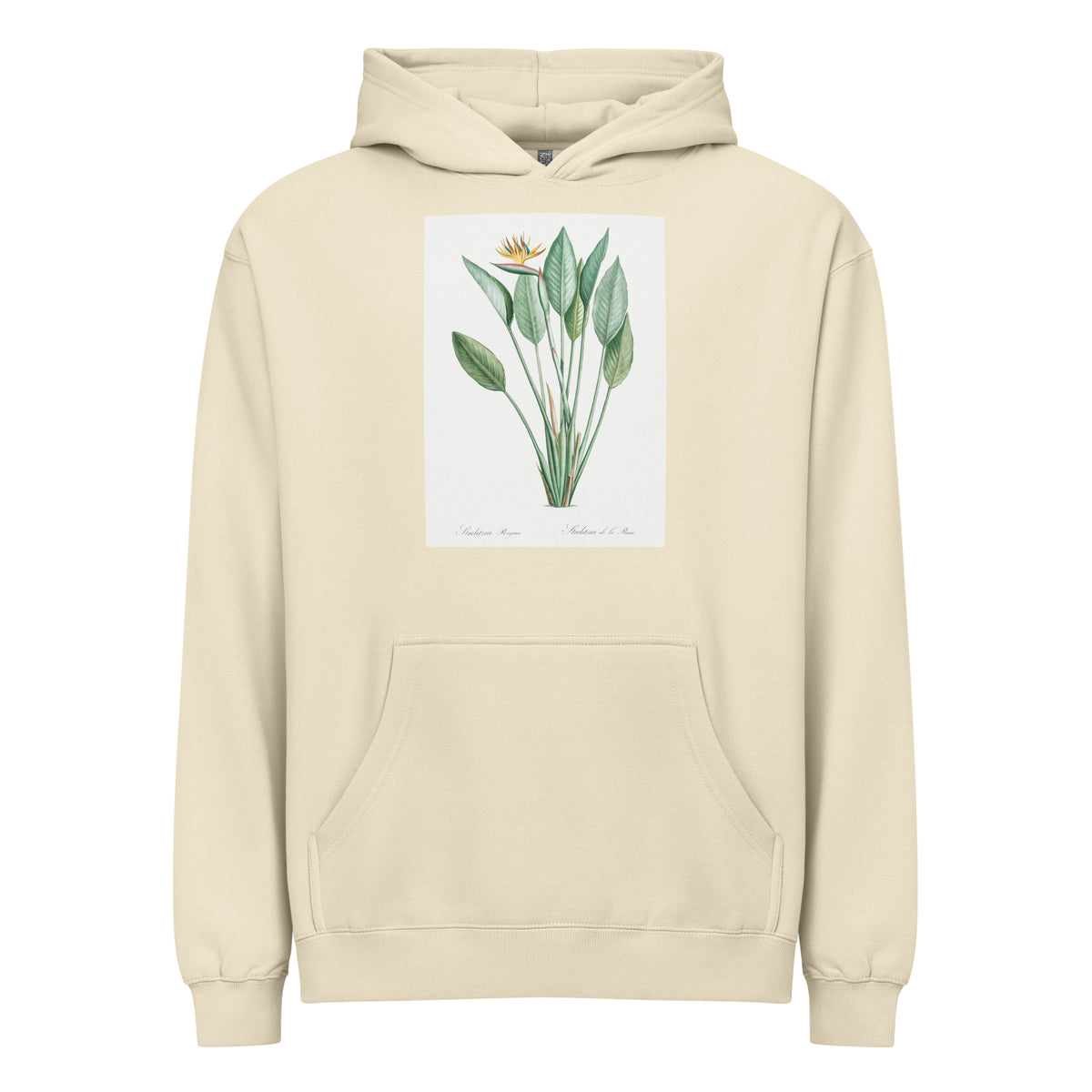Hoodie Bird Of Paradise Illustration II Signature