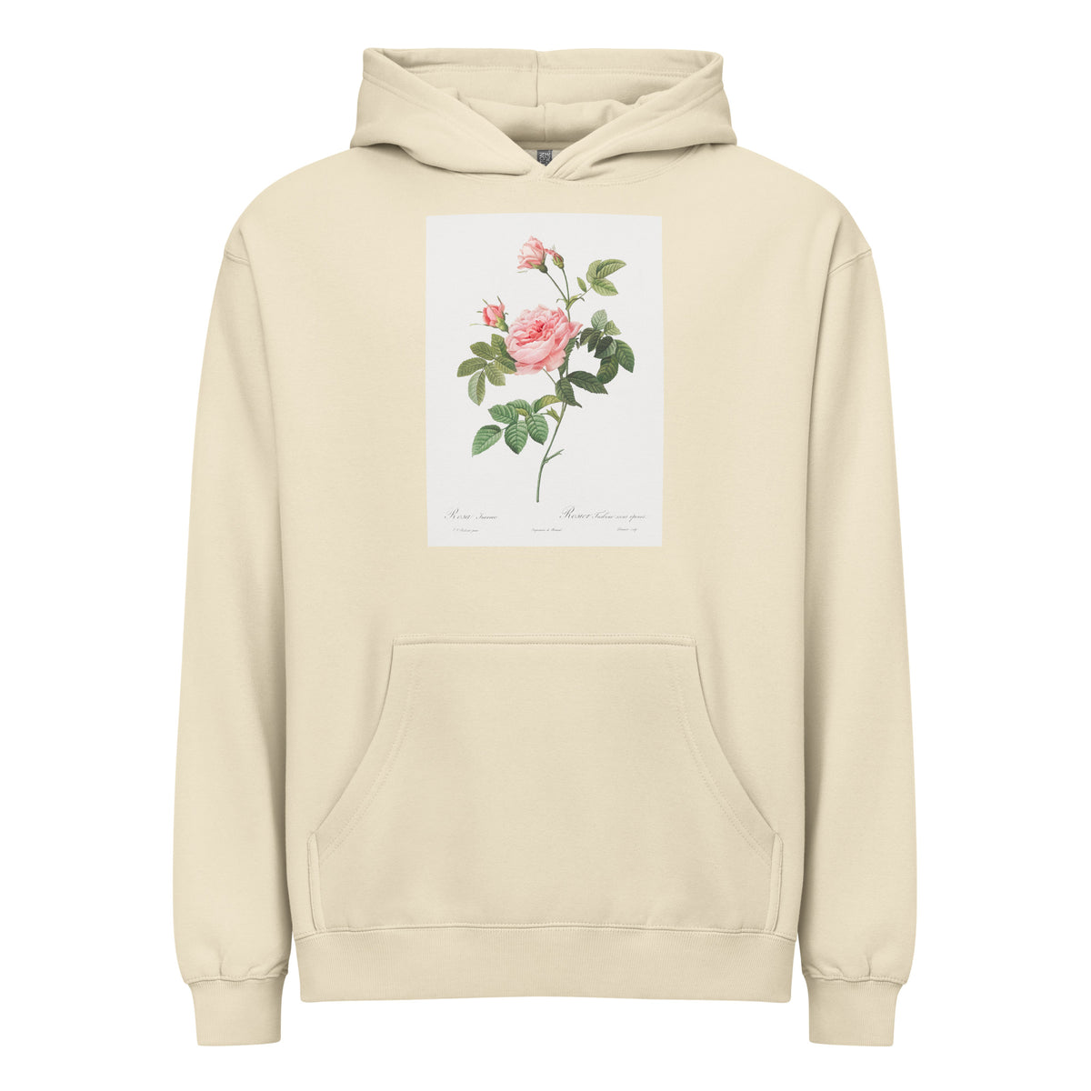 Hoodie Boursault Rose Also Known As Rose Turbine Without Thorns Rosa Inermis Signature