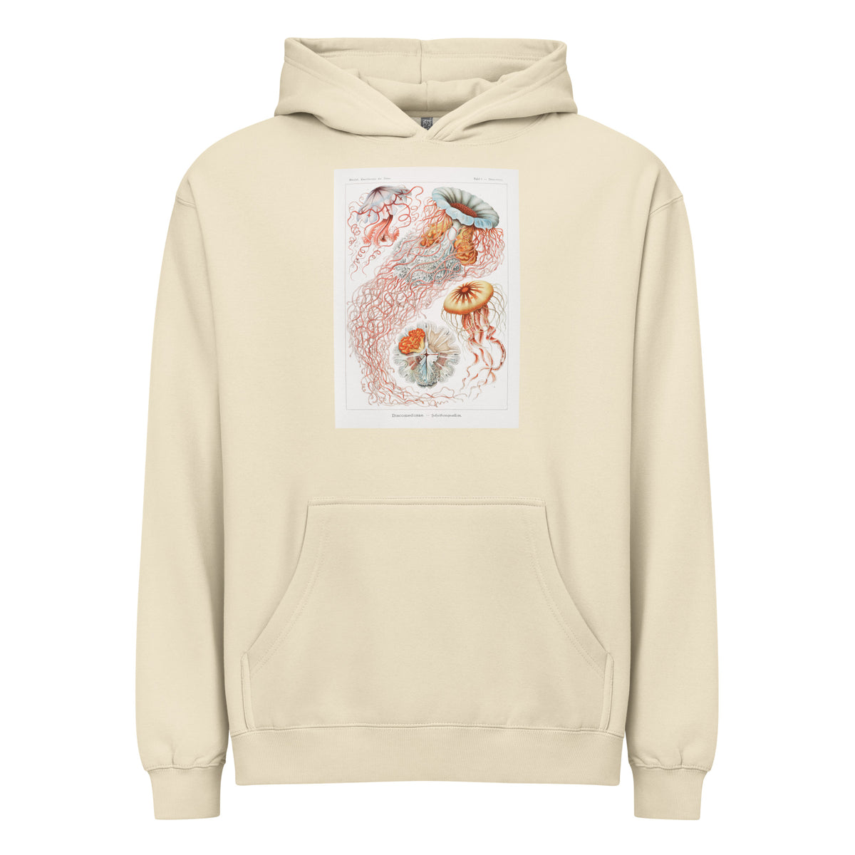 Hoodie Discomedusae Scheibenquallen Signature
